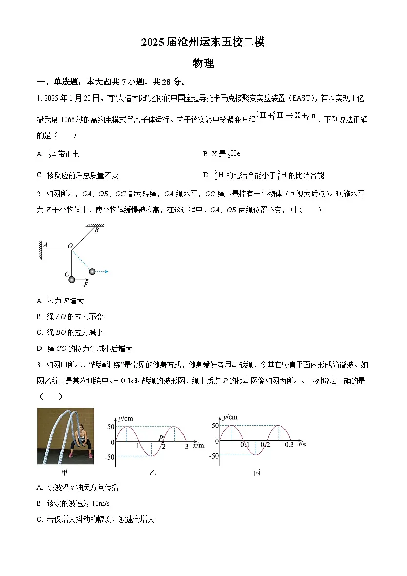 2025届河北省沧州市运东五校高三下学期二模物理试题(原卷版+解析版)(高考模拟)第1页