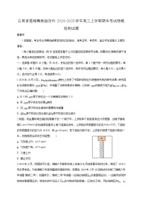 云南省楚雄彝族自治州2024-2025学年高三上学期期末考试物理检测试题（附答案）