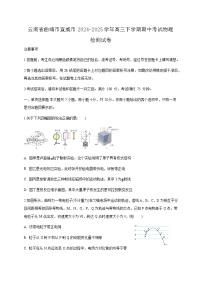 云南省曲靖市宣威市2024-2025学年高三下学期期中考试物理检测试卷（附答案）