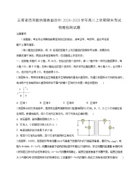 云南省西双版纳傣族自治州2024-2025学年高二上学期期末考试物理检测试题（附答案）