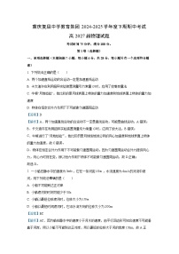 重庆市复旦中学教育集团2024-2025学年高一下学期期中考试物理试卷（解析版）