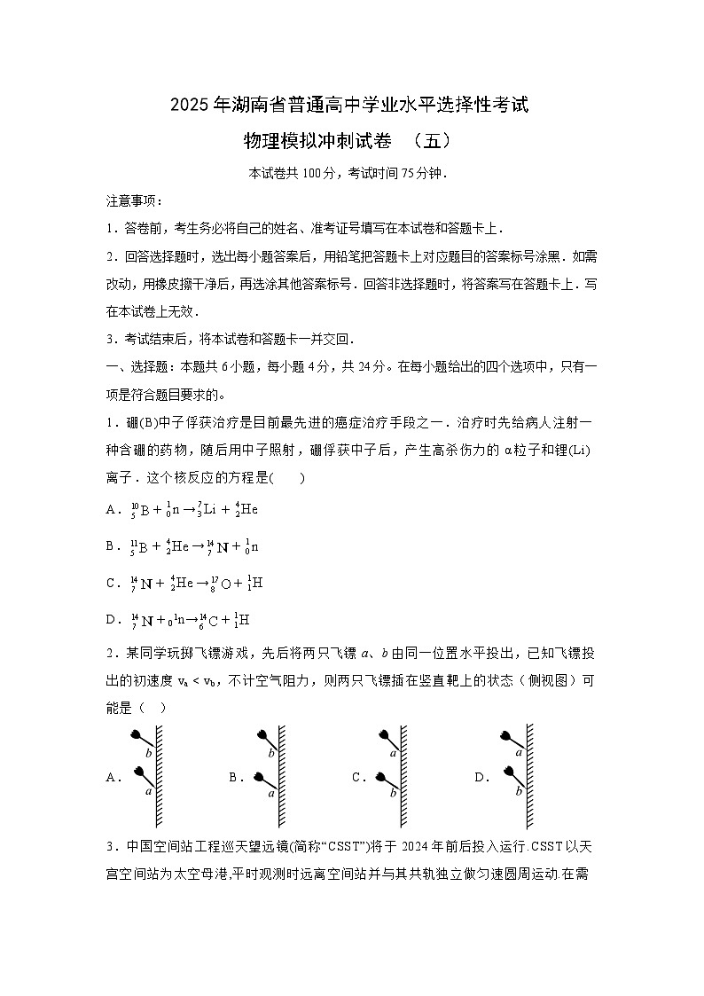 湖南省2025届普通高中学业水平选择性考试模拟冲刺(五)物理试卷(解析版)第1页