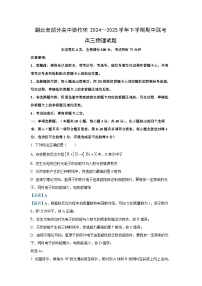 湖北省部分高中协作体2024-2025学年高三下学期4月期中联考物理试卷（解析版）