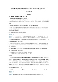 湖北省楚天教科研协作体2024-2025学年高一下学期收心考试物理试卷（解析版）