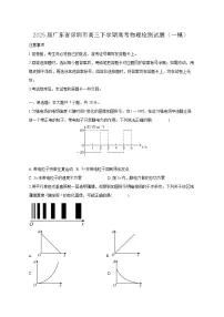 2025届广东省深圳市高三下学期高考物理检测试题（一模）含答案