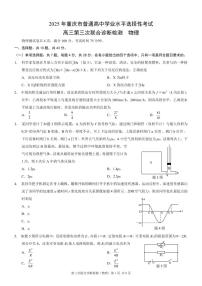 重庆市康德卷2025届高三高考模拟第三次诊断-物理试题+答案