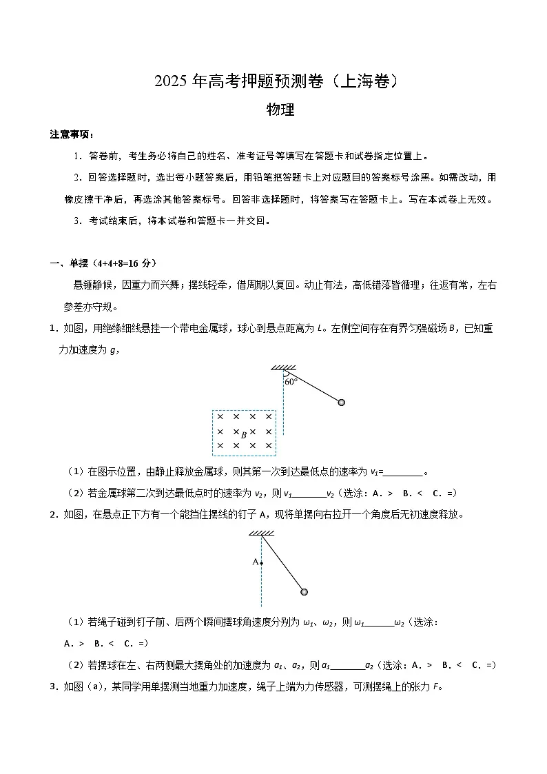 2025年高考押题预测卷:物理(上海卷)01(考试版)第1页