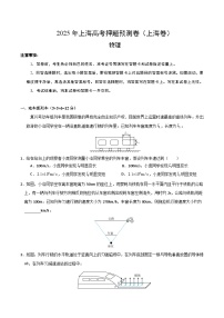 2025年高考押题预测卷：物理（上海卷）03（考试版）