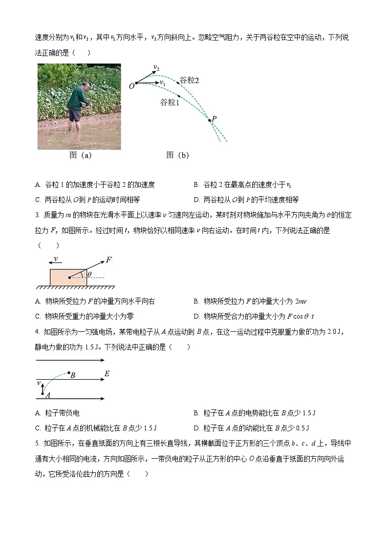湖北省随州市部分高中2024-2025学年高三下学期2月月考物理试题(原卷版+解析版)第2页