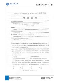 2025年湖北省武汉市高三四调考试 物理试卷（含答案）