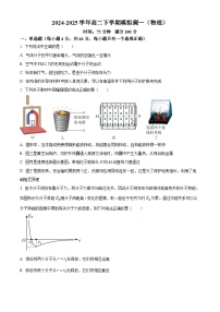江苏省南京市第十三中学2024-2025学年高二下学期3月月考物理试题（原卷版+解析版）