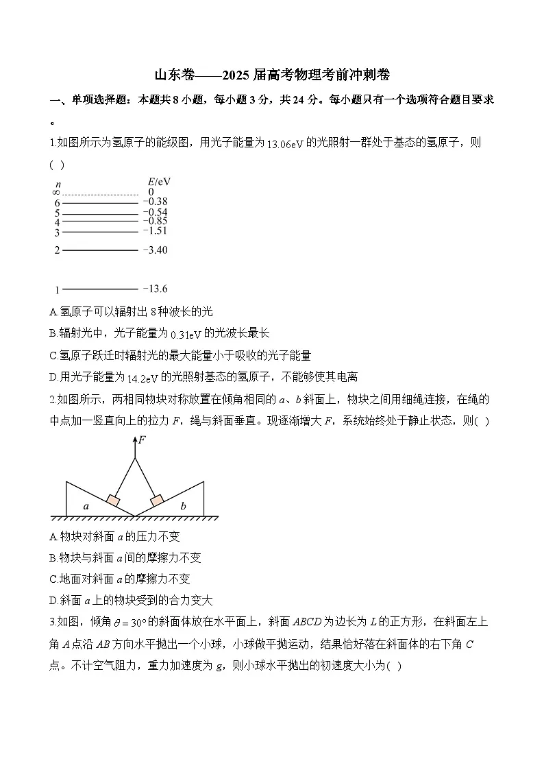 山东卷——2025届高考物理考前冲刺卷第1页