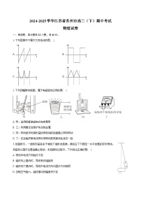2024-2025学年江苏省苏州市高二（下）期中物理试卷（含答案）