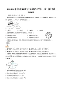 2024-2025学年江西省宜春市丰城市第九中学高一（下）期中考试物理试卷（含解析）