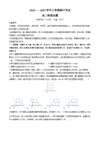 湖北省新高考联考协作体2024-2025学年高三上学期11月期中考试 物理试题（含答案）