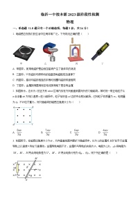 山东省临沂第一中学2024-2025学年高二下学期月考物理试卷（原卷版+解析版）