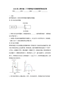 2025届上海市高三下学期等级考质量调研物理试卷（无答案）