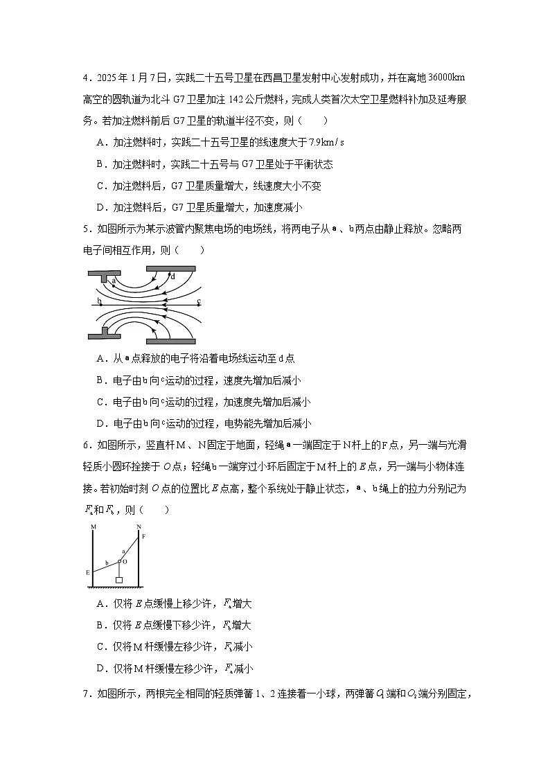 2025届贵州省毕节市高三下学期第四次适应性考试(三模)物理试卷(无答案)第2页