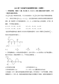 2025届广东省高考仿真猜题卷 物理（含解析）