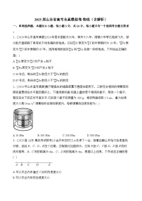 2025届山东省高考全真模拟卷 物理（含解析）