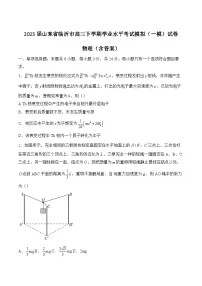 2025届山东省临沂市高三下学期学业水平考试模拟(一模)试卷 物理(含答案)