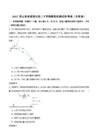 2025届山东省淄博市高三下学期模拟检测试卷 物理（含答案）
