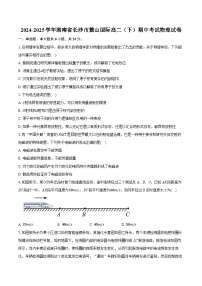 湖南省长沙市麓山国际实验学校2024-2025学年高二下学期期中考试物理试卷（Word版附解析）