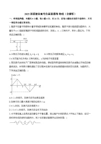 2025届福建省高考仿真猜题卷 物理（含解析）