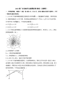 2025届广东省高考全真模拟卷 物理（含解析）