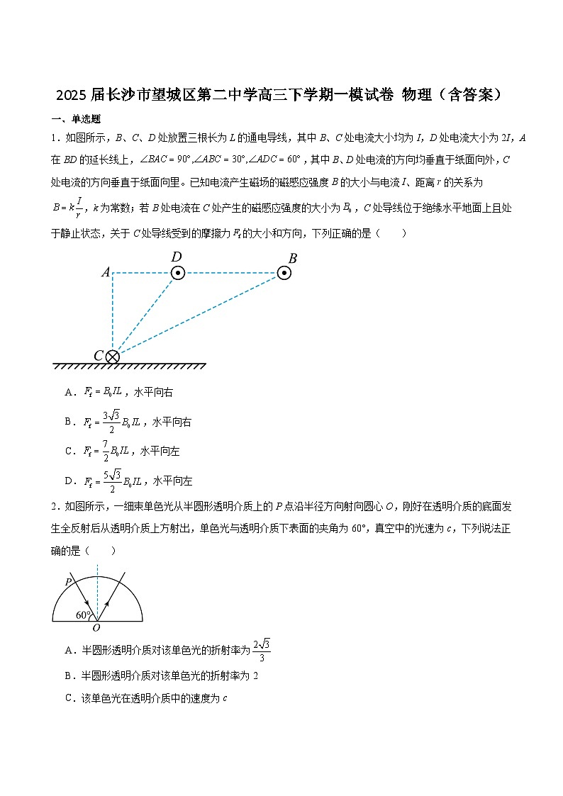 2025届长沙市望城区第二中学高三下学期一模试卷 物理(含答案)第1页