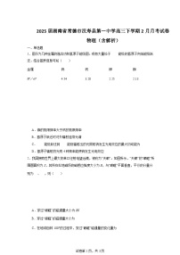 2025届湖南省常德市汉寿县第一中学高三下学期2月月考试卷 物理（含解析）