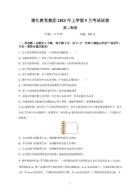 湖南省雅礼中学2024-2025学年高二下学期5月月考物理试题（含答案）