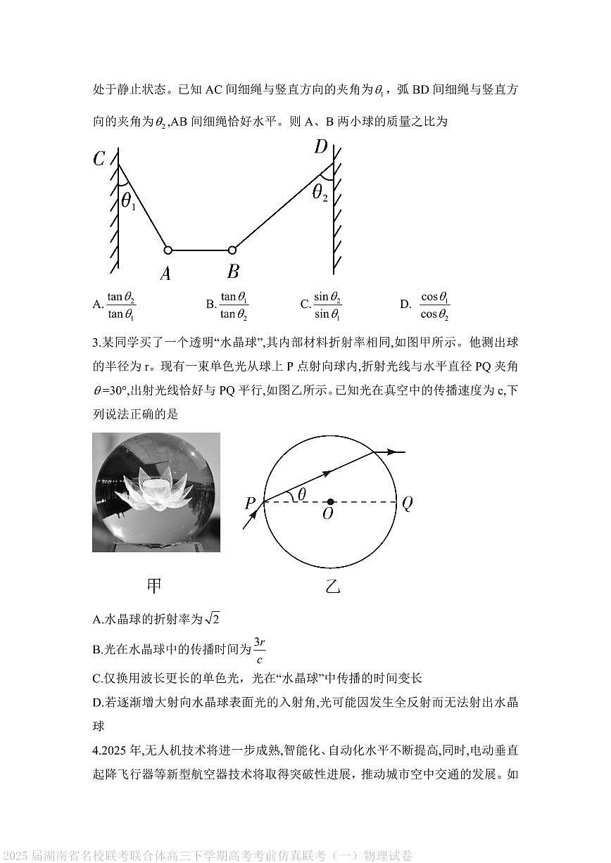 2025届湖南名校联考联合体高三下学期高考考前仿真联考(一)物理试卷(含答案)第2页