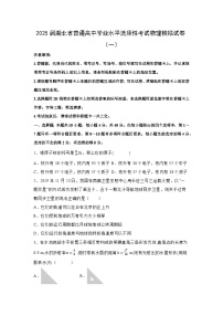 2025届湖北省普通高中学业水平选择性考试模拟（一）物理试卷（解析版）