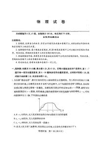 湖北省武汉市2025届高三高考模拟训练-物理试题+答案