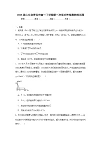 2025届山东省青岛市高三下学期第三次适应性检测物理试题（无答案）