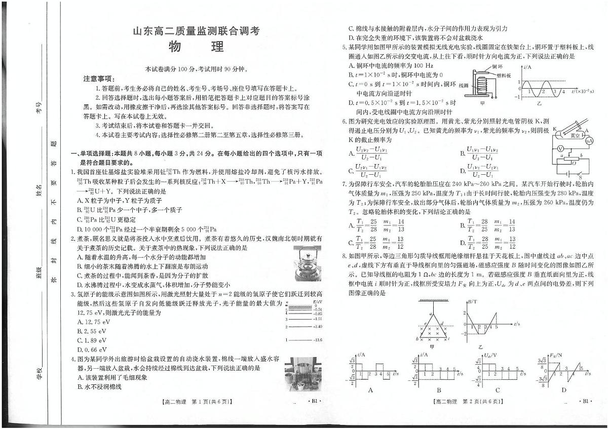 山东省联考2024-2025学年高二下学期5月月考物理B1第1页