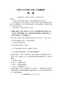 2025届湖北省武汉市武昌区高三下学期5月质量检测（图片版）物理试卷