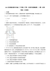 2025届安徽省滁州市高三下学期2月第一次教学质量检测（一模）试卷 物理（含答案）