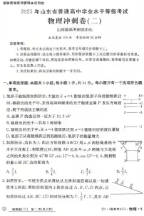 2025届山东省普通高中学业水平等级考试高考冲刺卷(二)物理试卷