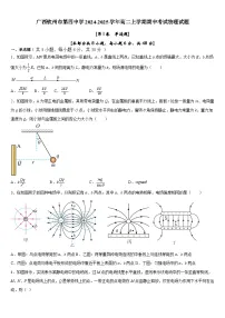 广西钦州市第四中学2024-2025学年高二上学期期中考试物理试题