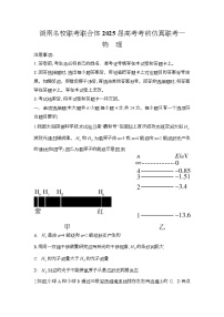 湖南省名校联考联合体2025届高三下学期考前仿真联考(一)物理试卷(Word版附解析)