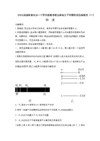 2025届湖南省长沙一中等名校联考联合体高三下学期考前仿真联考(一)物理试题 (解析版)