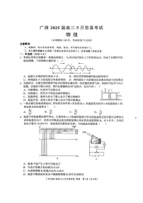 2025届广西壮族自治区高三下学期模拟预测物理试题（高考模拟）