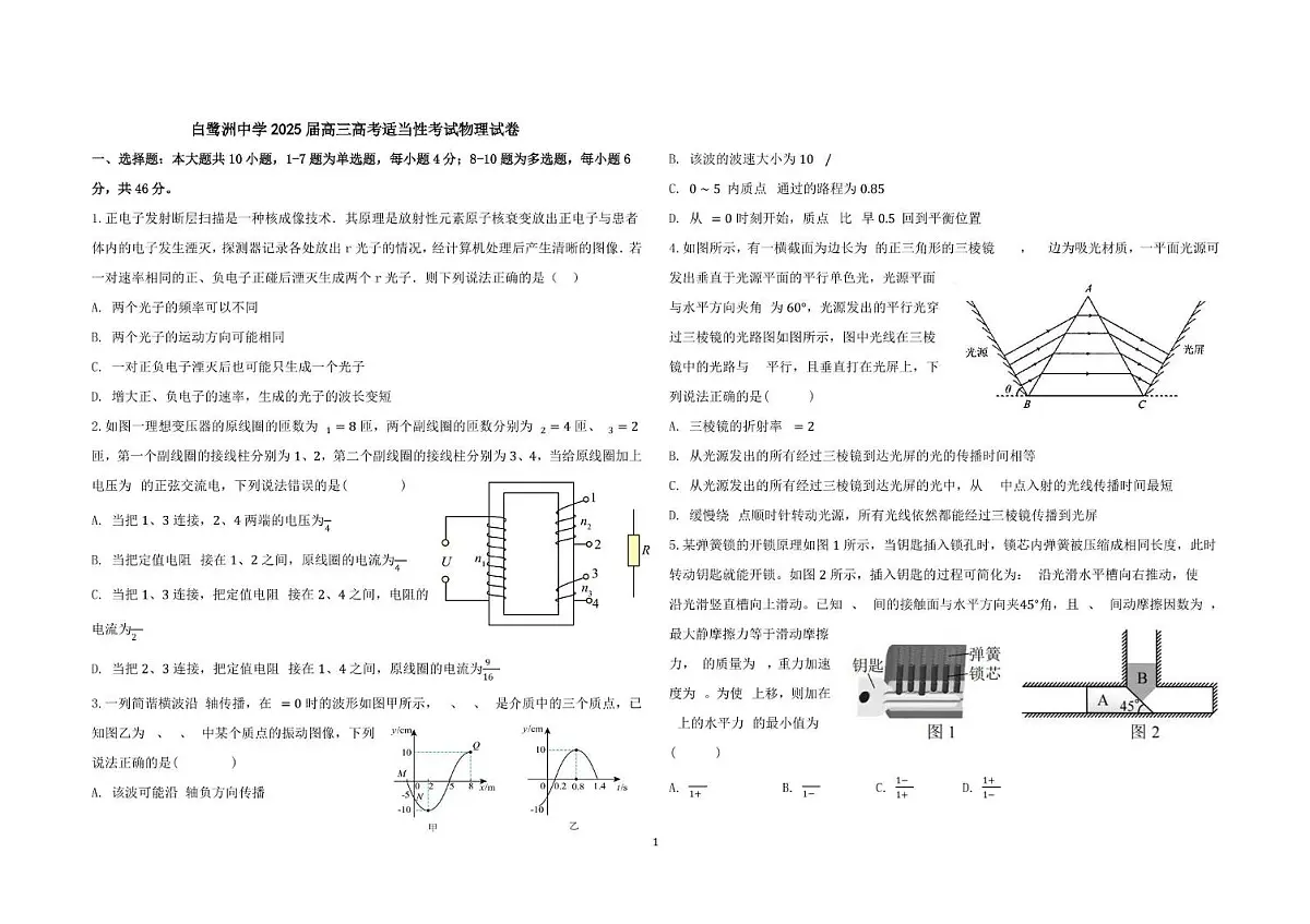 2025届江西省吉安市白鹭洲中学高三下学期高考适应性考试物理试题(高考模拟)第1页