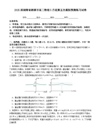 2025届湖南省湘潭市高三下学期5月底第五次模拟预测练习物理试卷（高考模拟）