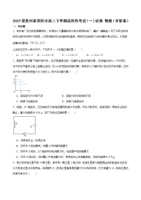 2025届贵州省贵阳市高三下学期适应性考试（一）试卷 物理（含答案）