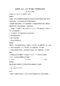 广东省深圳市2024-2025学年高二上学期学业水平期中物理试卷（解析版）