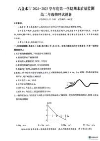 贵州省六盘水市2024-2025学年高二上学期1月期末物理试题