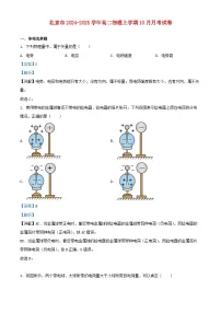 北京市2024_2025学年高二物理上学期10月月考试卷含解析 (2)